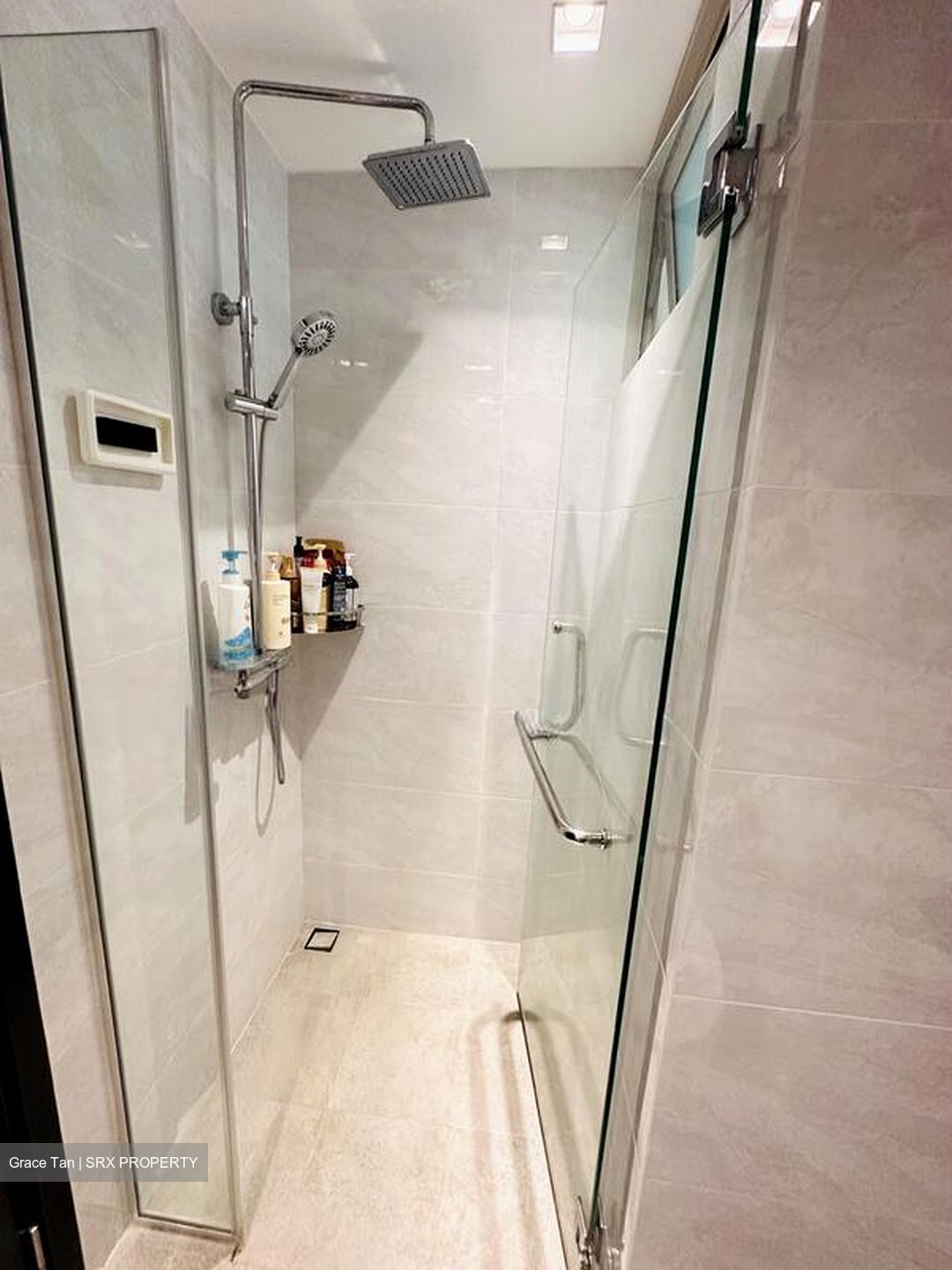 The Quartz (D19), Condominium #496173941